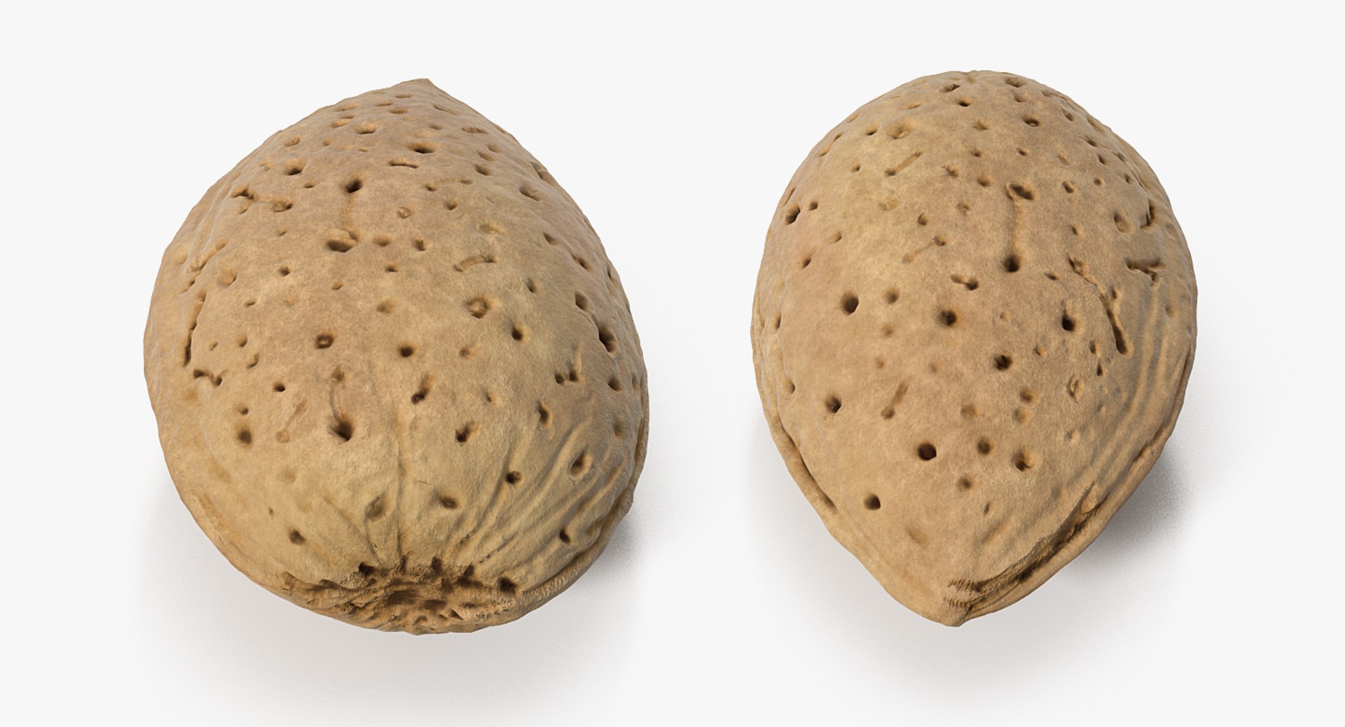 Nuts Collection 9 model https://p.turbosquid.com/ts-thumb/pc/RFW0PA/y0/nuts_collection_9_061/jpg/1709813335/1920x1080/fit_q87/260c530e06ea48fc083eea8bb9244f364731d061/nuts_collection_9_061.jpg
