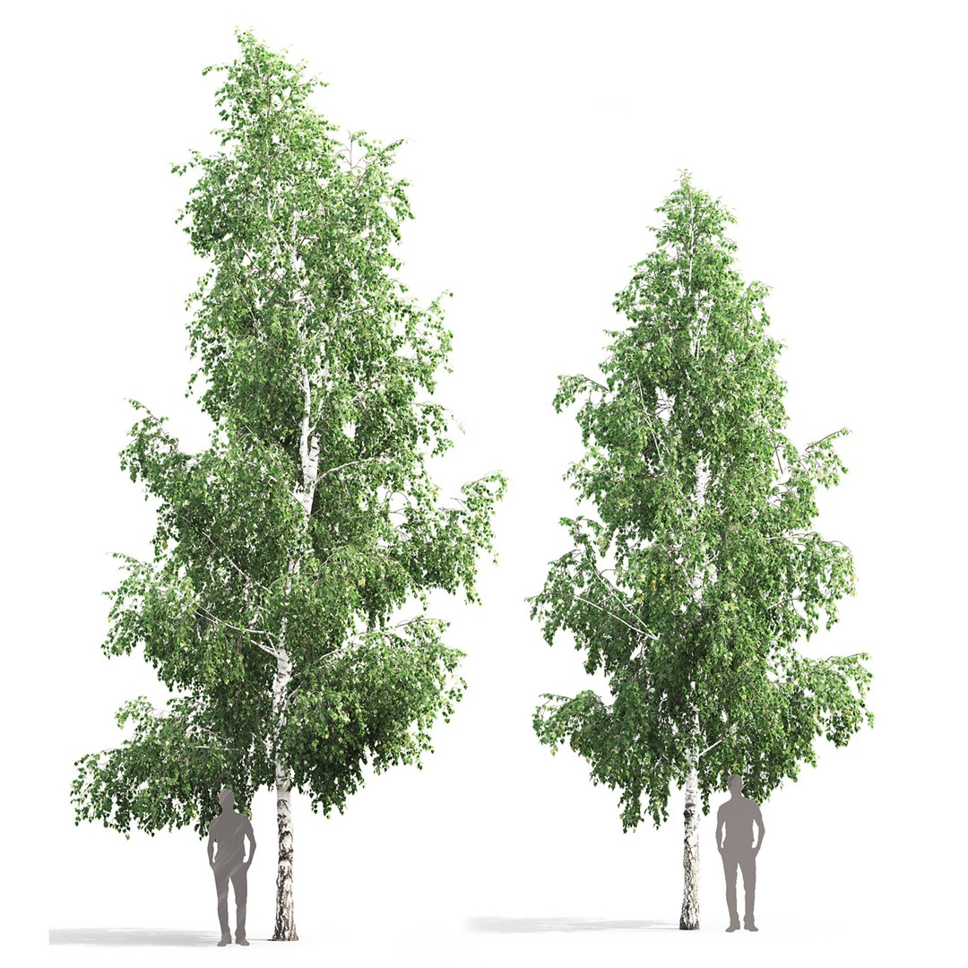 3D tree nature https://p.turbosquid.com/ts-thumb/pc/XVMH8L/F3/_04/jpg/1612697697/1920x1080/fit_q87/abd0afe2bbef992a19742db03a61567bf8496db1/_04.jpg