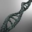 DNA strand