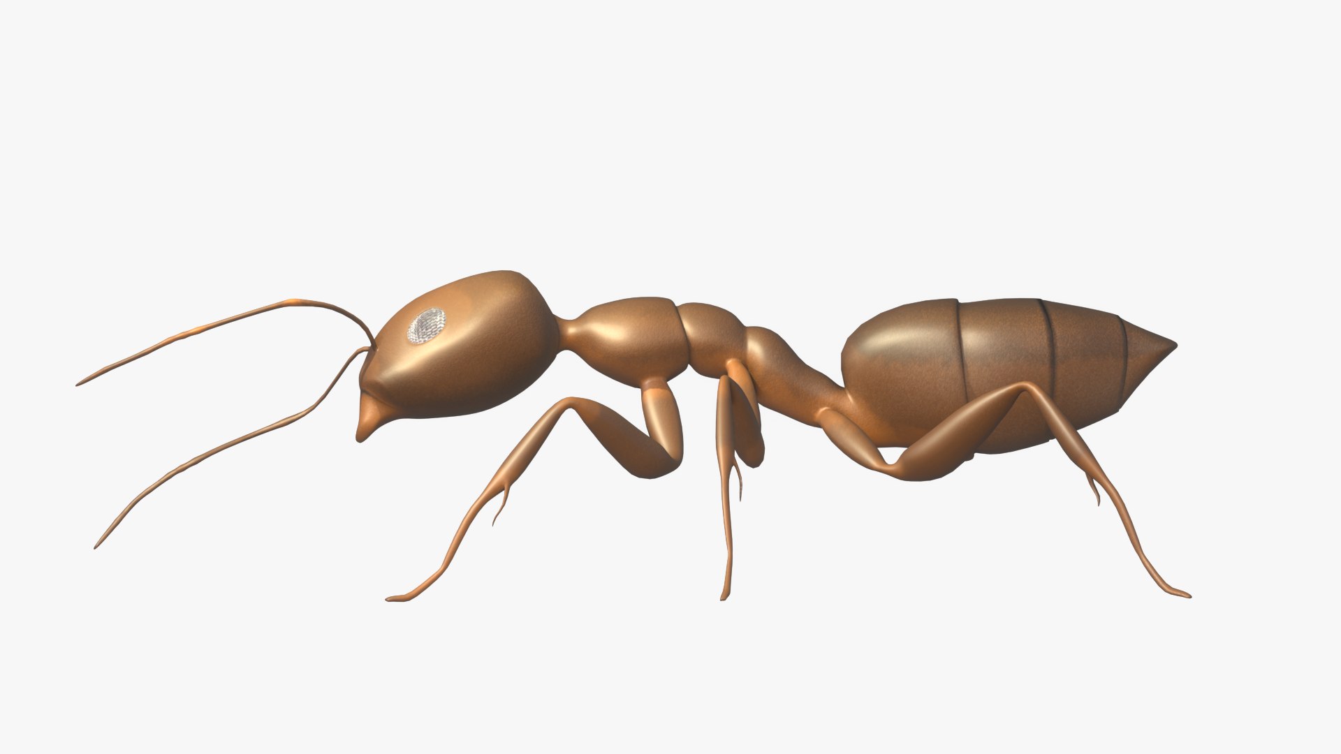 3D model sugar ant https://p.turbosquid.com/ts-thumb/pc/bX9W39/7ME1UmAX/6/png/1591310523/1920x1080/fit_q87/774c27d7e1c47ad20d03eae3b2dc4871f9c5cb22/6.jpg