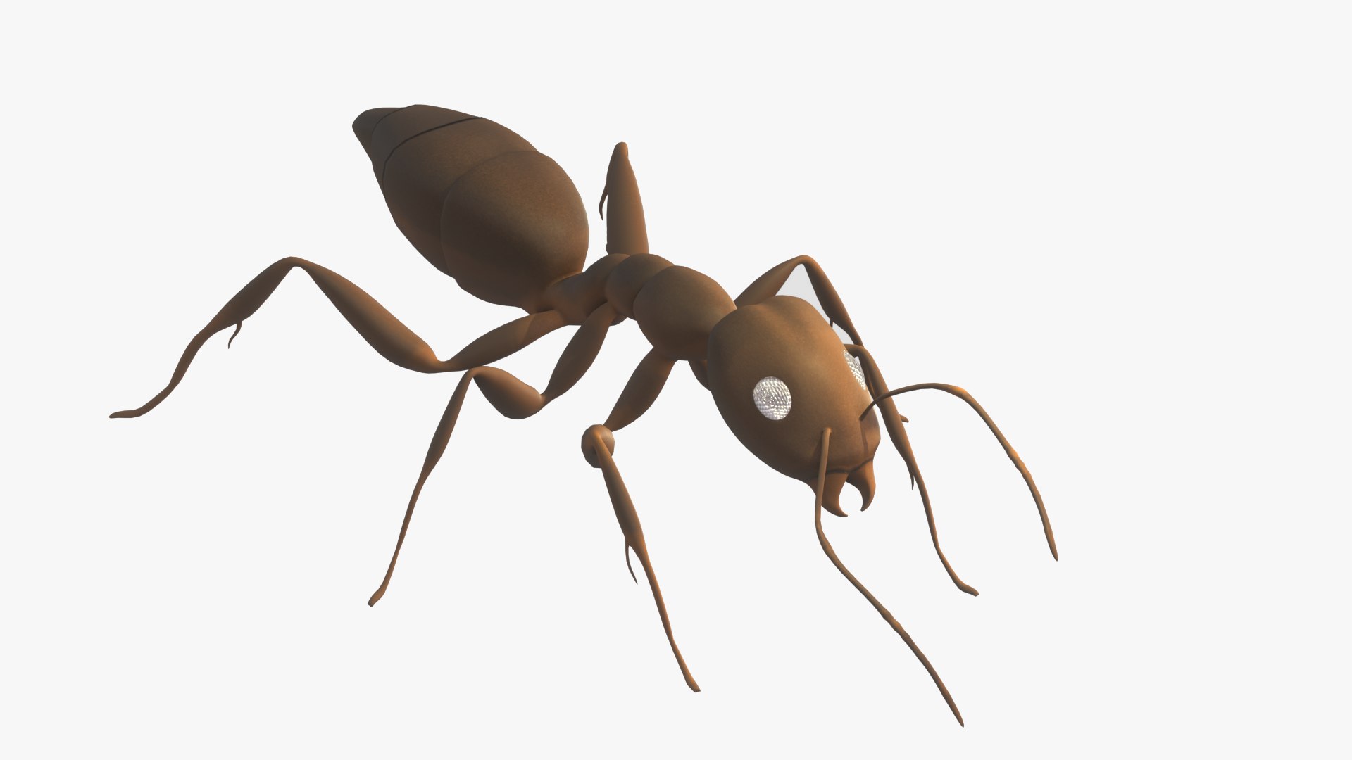 3D model sugar ant https://p.turbosquid.com/ts-thumb/pc/bX9W39/NErkkSJE/3/png/1591310523/1920x1080/fit_q87/d3dc03db0511e9ba6a17c7d922b63c1b58d7af85/3.jpg