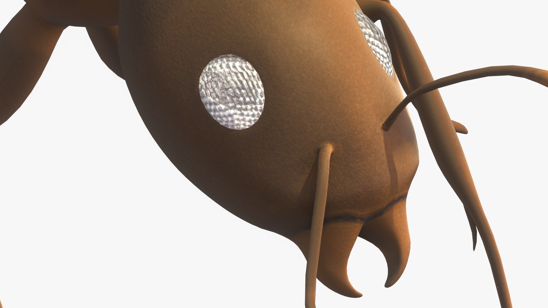 3D model sugar ant https://p.turbosquid.com/ts-thumb/pc/bX9W39/svvnc6zC/9/png/1591310523/1920x1080/fit_q87/00db60e8ff1c92f5ddf5eb7600e3ef8d3493c0dc/9.jpg