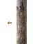 Torch
