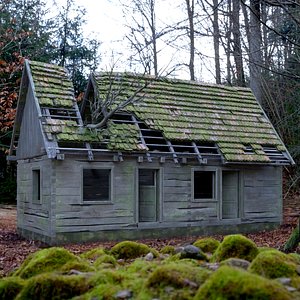 Abandoned Wooden Cabin with Tree