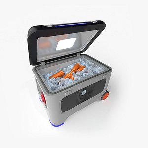 3D Portable Refrigerator model