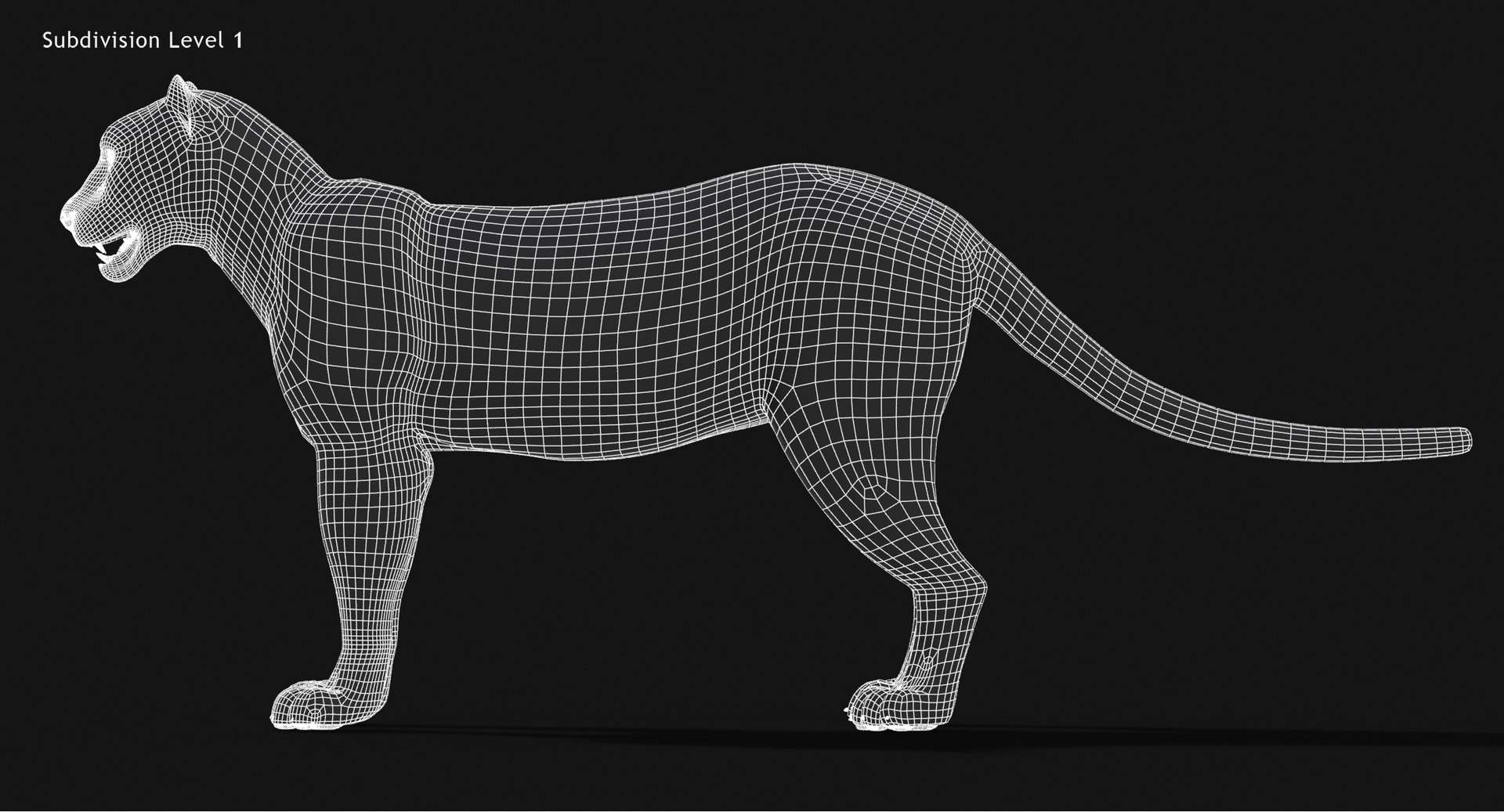 Snow Leopard Fur Cat 3d 3ds
