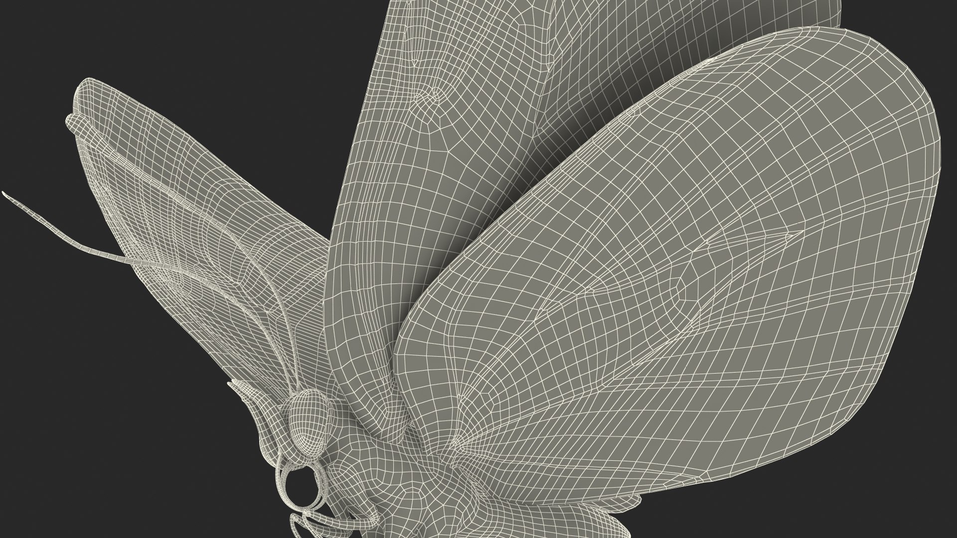 3D Animated Diaethria Clymena Butterfly Flight Fur https://p.turbosquid.com/ts-thumb/pc/sbEJqR/Tf/animateddiaethriaclymenabutterflyflightfur3dsmodel026/jpg/1629155784/1920x1080/fit_q87/f93e6a3f28de9d6b284eada57c30e8de8d136e61/animateddiaethriaclymenabutterflyflightfur3dsmodel026.jpg