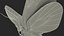 Animato Diaethria Clymena Butterfly Flight Fur