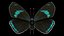 Animato Diaethria Clymena Butterfly Flight Fur