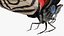 Animato Diaethria Clymena Butterfly Flight Fur