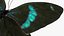 Animato Diaethria Clymena Butterfly Flight Fur