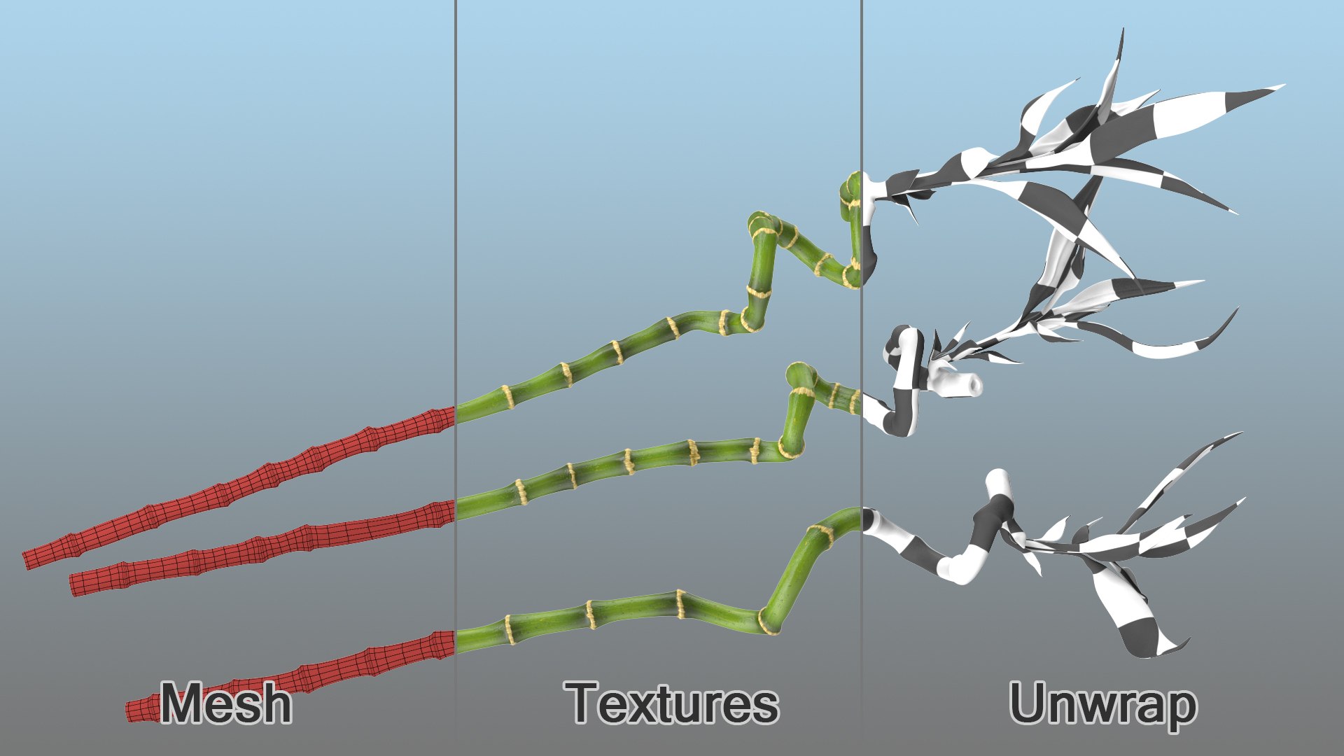 3D model lucky bamboo 3 spiral https://p.turbosquid.com/ts-thumb/pc/sldveG/8eidhb4q/luckybamboo3spiralstems3dsmodel007/jpg/1587509010/1920x1080/fit_q87/dc5f163c133fedc3701413cfdc8dc4ace2e343ae/luckybamboo3spiralstems3dsmodel007.jpg