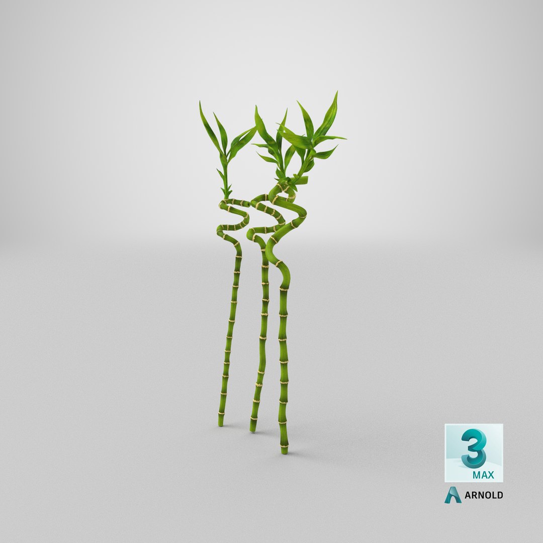 3D model lucky bamboo 3 spiral https://p.turbosquid.com/ts-thumb/pc/sldveG/Ac/stemcell_max_arnold_render/png/1646988657/1920x1080/fit_q87/fcfe9f6a43ccd00a31fba17ed604201417c6812a/stemcell_max_arnold_render.jpg