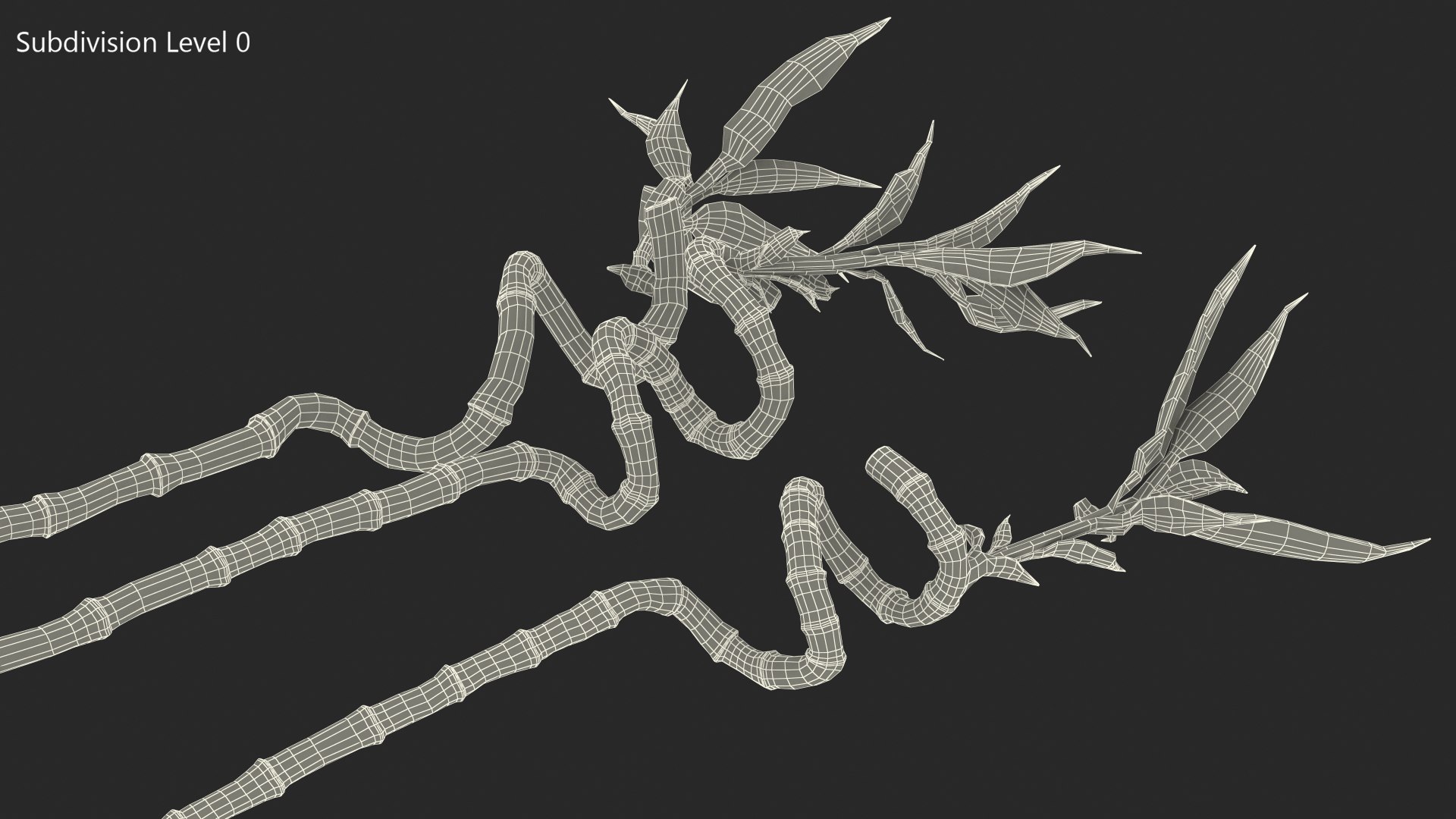 3D model lucky bamboo 3 spiral https://p.turbosquid.com/ts-thumb/pc/sldveG/JJOggS1i/luckybamboo3spiralstems3dsmodel008/jpg/1587509015/1920x1080/fit_q87/bc4c98059a77b147cd302adc6fc6374e61e711db/luckybamboo3spiralstems3dsmodel008.jpg