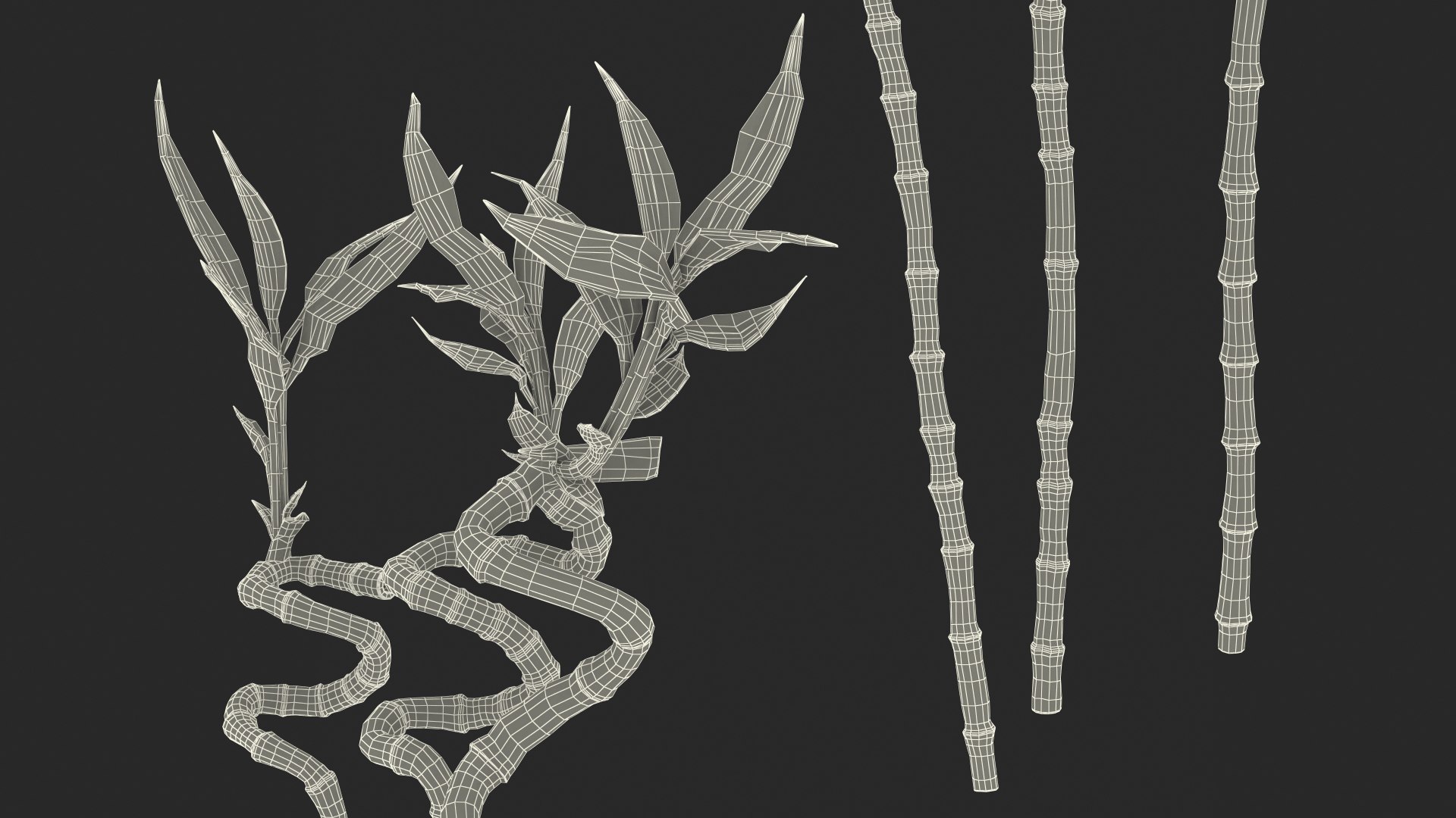 3D model lucky bamboo 3 spiral https://p.turbosquid.com/ts-thumb/pc/sldveG/Md5vAj1a/luckybamboo3spiralstems3dsmodel020/jpg/1587509057/1920x1080/fit_q87/775bd7694c87417fc162982fe199eff8896fed12/luckybamboo3spiralstems3dsmodel020.jpg