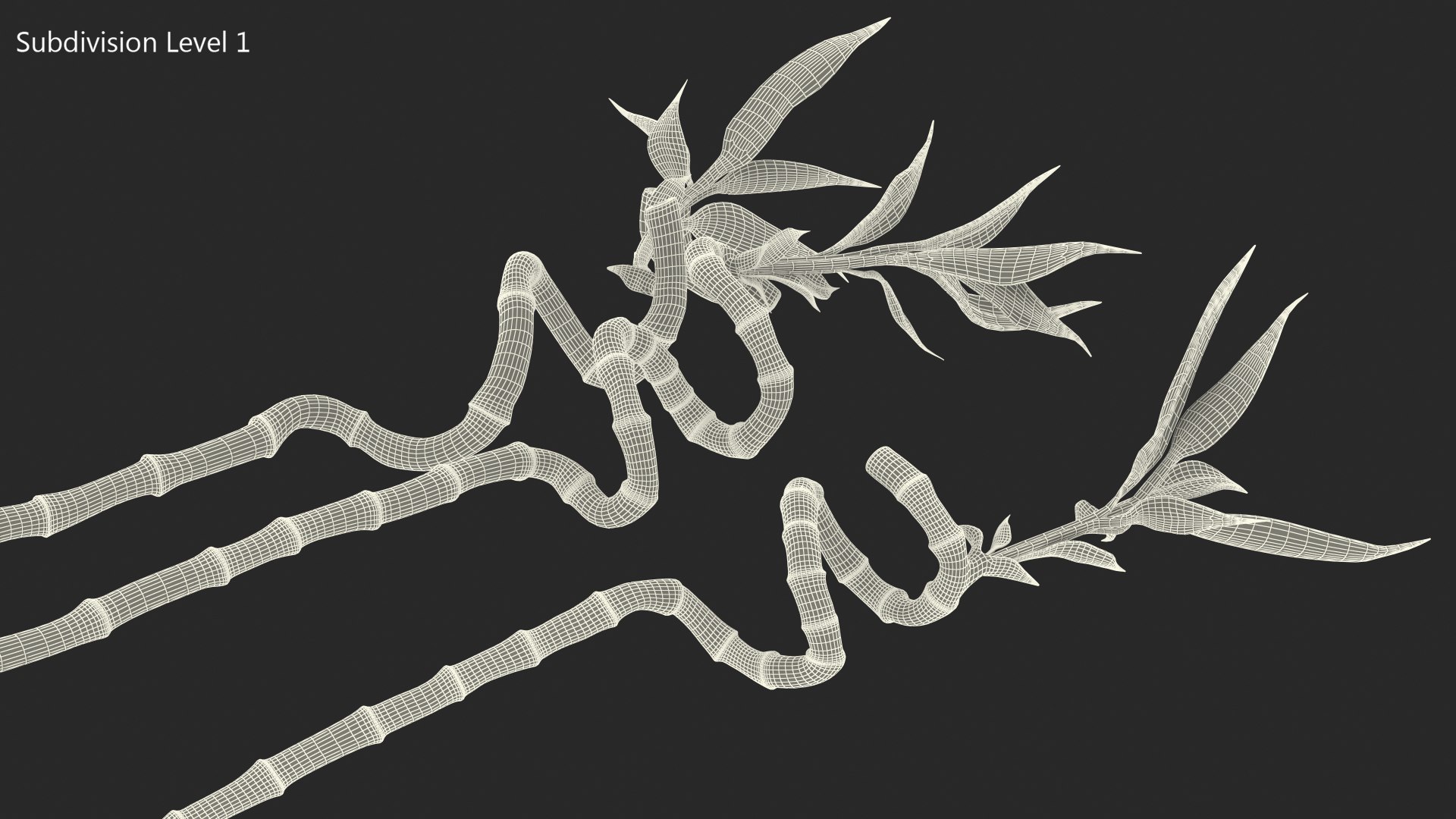 3D model lucky bamboo 3 spiral https://p.turbosquid.com/ts-thumb/pc/sldveG/UD69r56C/luckybamboo3spiralstems3dsmodel009/jpg/1587509018/1920x1080/fit_q87/9fd54f126eeb4a1fe40ff17fedafc9fcd45af26c/luckybamboo3spiralstems3dsmodel009.jpg