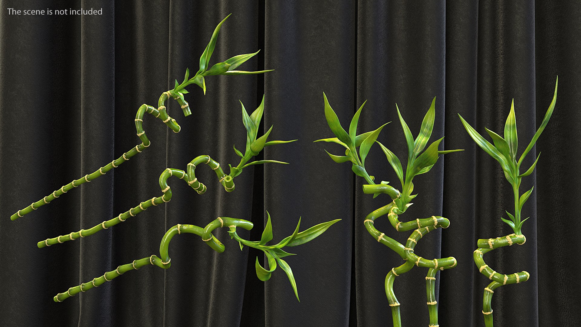 3D model lucky bamboo 3 spiral https://p.turbosquid.com/ts-thumb/pc/sldveG/b33g2AvG/luckybamboo3spiralstems3dsmodel002/jpg/1587508992/1920x1080/fit_q87/401b26f2675c1f2021050b27c05745a087710318/luckybamboo3spiralstems3dsmodel002.jpg