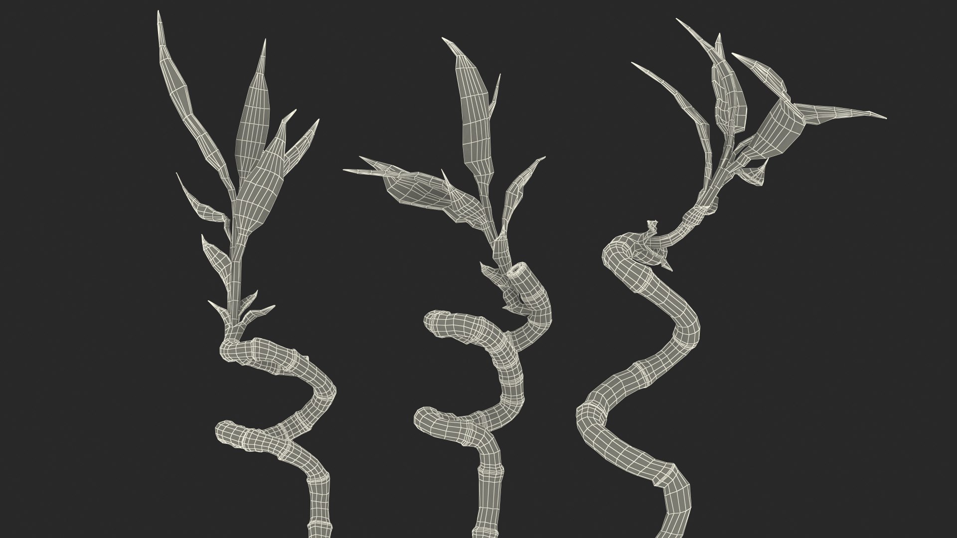 3D model lucky bamboo 3 spiral https://p.turbosquid.com/ts-thumb/pc/sldveG/bAwJR6D5/luckybamboo3spiralstems3dsmodel017/jpg/1587509047/1920x1080/fit_q87/4c59bfc66320edfcd3ad150312f3d1fc3ef64ca7/luckybamboo3spiralstems3dsmodel017.jpg