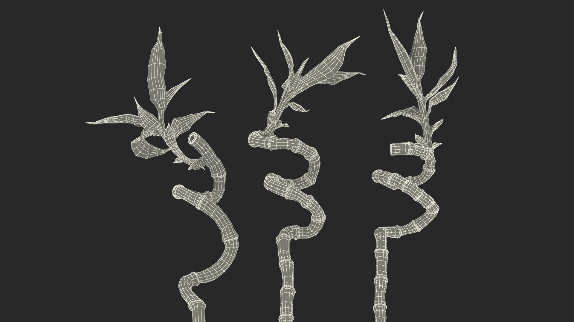 3D model lucky bamboo 3 spiral https://p.turbosquid.com/ts-thumb/pc/sldveG/kLxql831/luckybamboo3spiralstems3dsmodel018/jpg/1587509050/1920x1080/fit_q87/a960a370fe2c6f5a215fa0ddc1f779a2dc427815/luckybamboo3spiralstems3dsmodel018.jpg