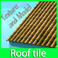 Roof tile with dirty texture and clean texture.