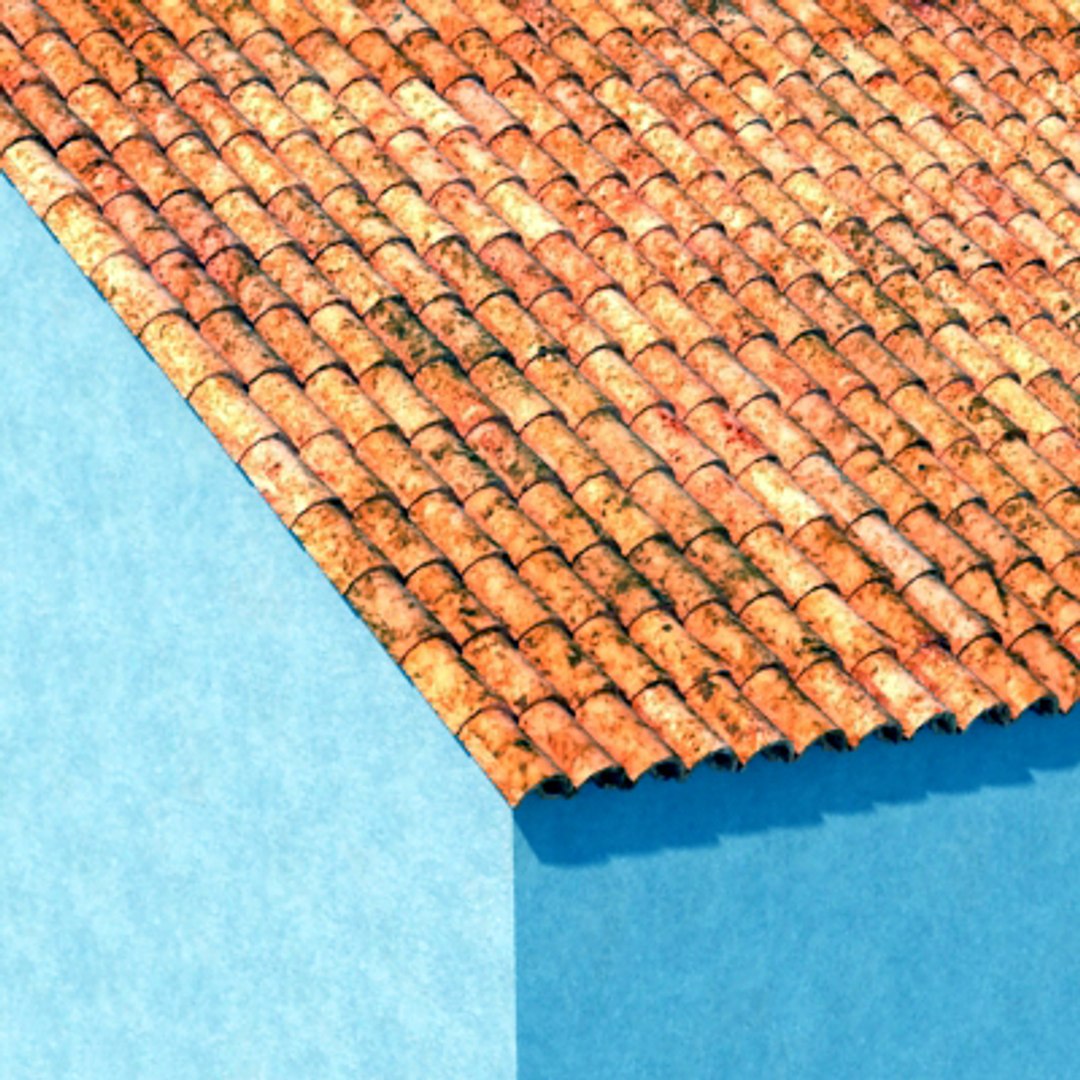 maya roof tile house dirty https://p.turbosquid.com/ts-thumb/pd/5kJ32a/wDwFDoQ8/roofdirty2/jpg/1272841756/1920x1080/fit_q87/821e787488b3d7d2eb0033a9c29f1d9d69b8b871/roofdirty2.jpg