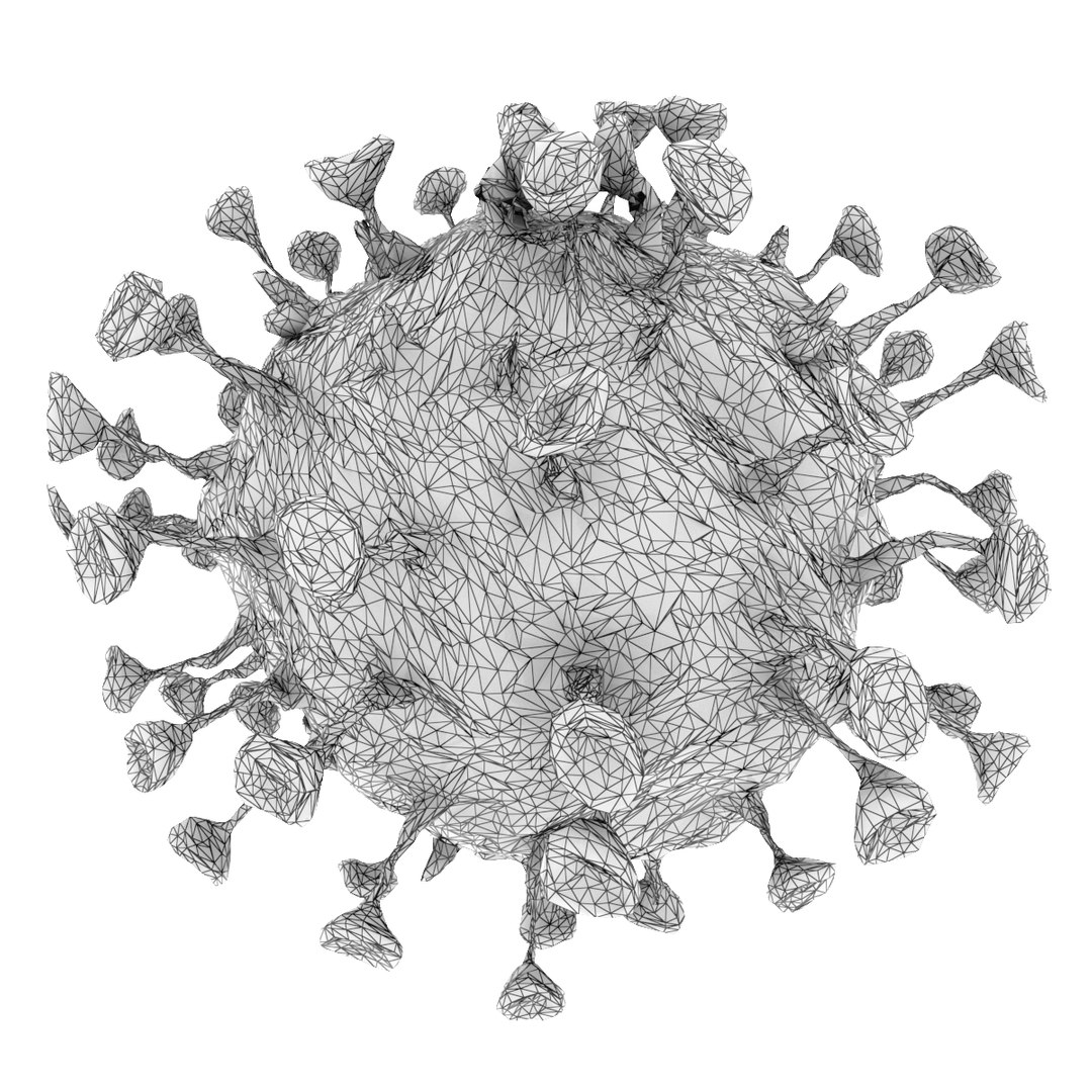 3D corona virus covid-19 https://p.turbosquid.com/ts-thumb/pd/A4pZt9/TkzFtOQ5/s5/jpg/1590623209/1920x1080/fit_q87/27e17044f466b31d713a2a304ed044ea8b161796/s5.jpg