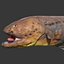 electric eel rigged animal 3D model