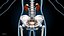 Ultimate Female Anatomy PRO - Advanced Rig w Animation