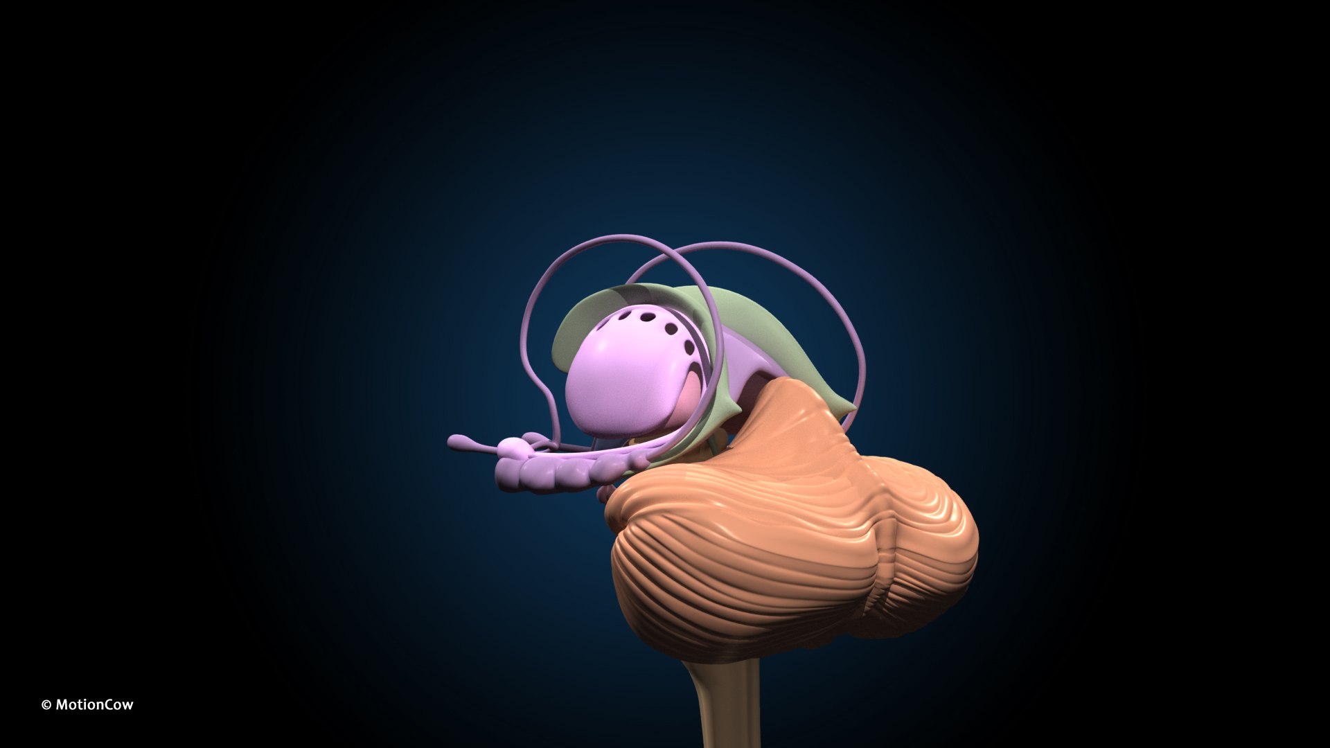 Ultimate Female Anatomy PRO 3D model https://p.turbosquid.com/ts-thumb/pd/PQtSWi/8b/female_anatomy_j6/jpg/1666791947/1920x1080/fit_q87/108b70a1a3138b96e6ae134cc5f672106fe70af1/female_anatomy_j6.jpg