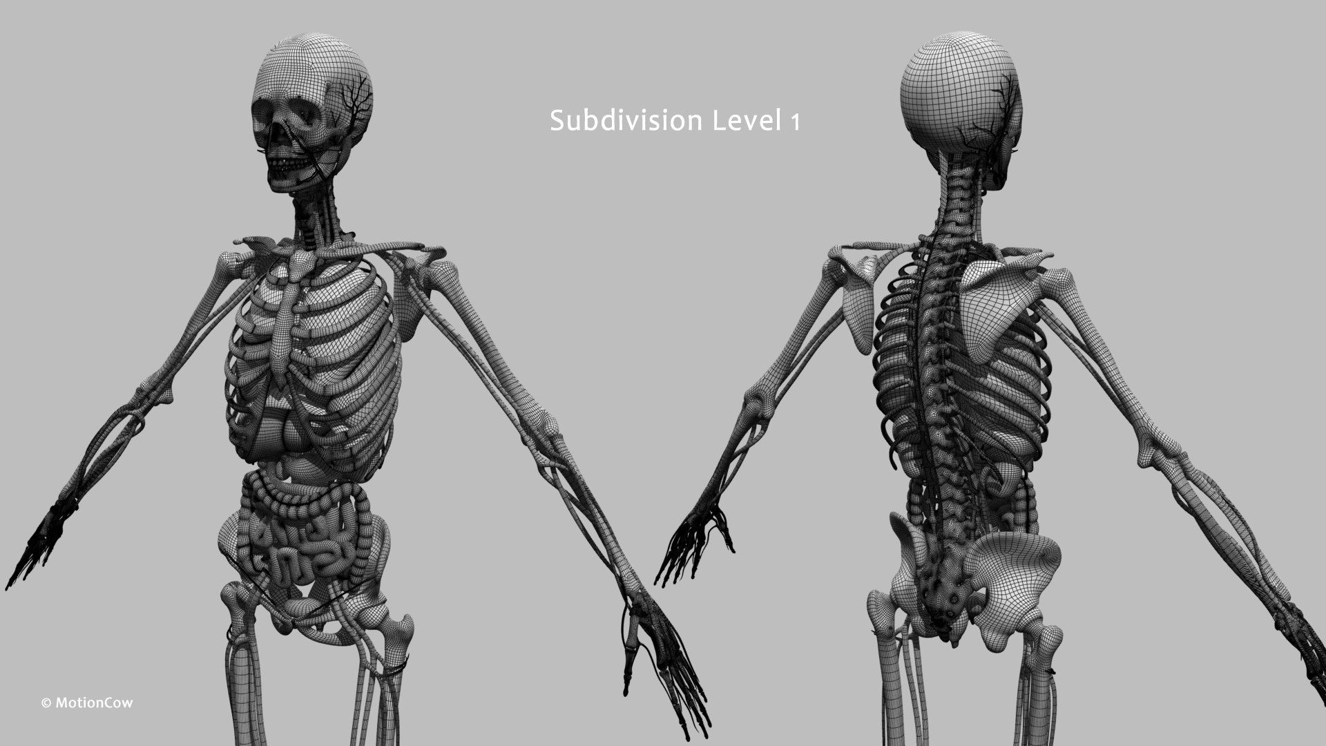 Ultimate Female Anatomy PRO 3D model https://p.turbosquid.com/ts-thumb/pd/PQtSWi/FQ/female_anatomy_w4/jpg/1666791954/1920x1080/fit_q87/5da9e47ef1fe346fd71e10d84cea4efb192627af/female_anatomy_w4.jpg