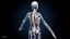 Ultimate Female Anatomy PRO - Advanced Rig w Animation