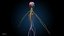 Ultimate Female Anatomy PRO - Advanced Rig w Animation