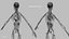 Ultimate Female Anatomy PRO - Advanced Rig w Animation