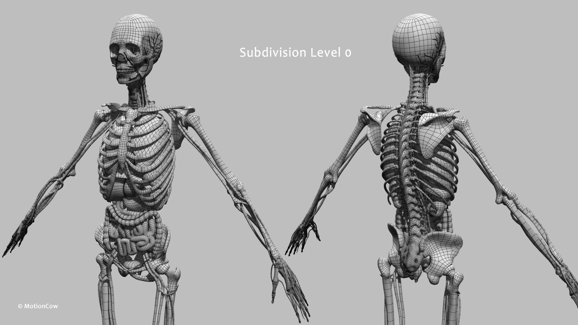 Ultimate Female Anatomy PRO 3D model https://p.turbosquid.com/ts-thumb/pd/PQtSWi/SA/female_anatomy_w3/jpg/1666791953/1920x1080/fit_q87/24dfb5db85ae174a2d8ee0aaf5e2e80320a78892/female_anatomy_w3.jpg