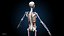 Ultimate Female Anatomy PRO - Advanced Rig w Animation