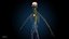 Ultimate Female Anatomy PRO - Advanced Rig w Animation