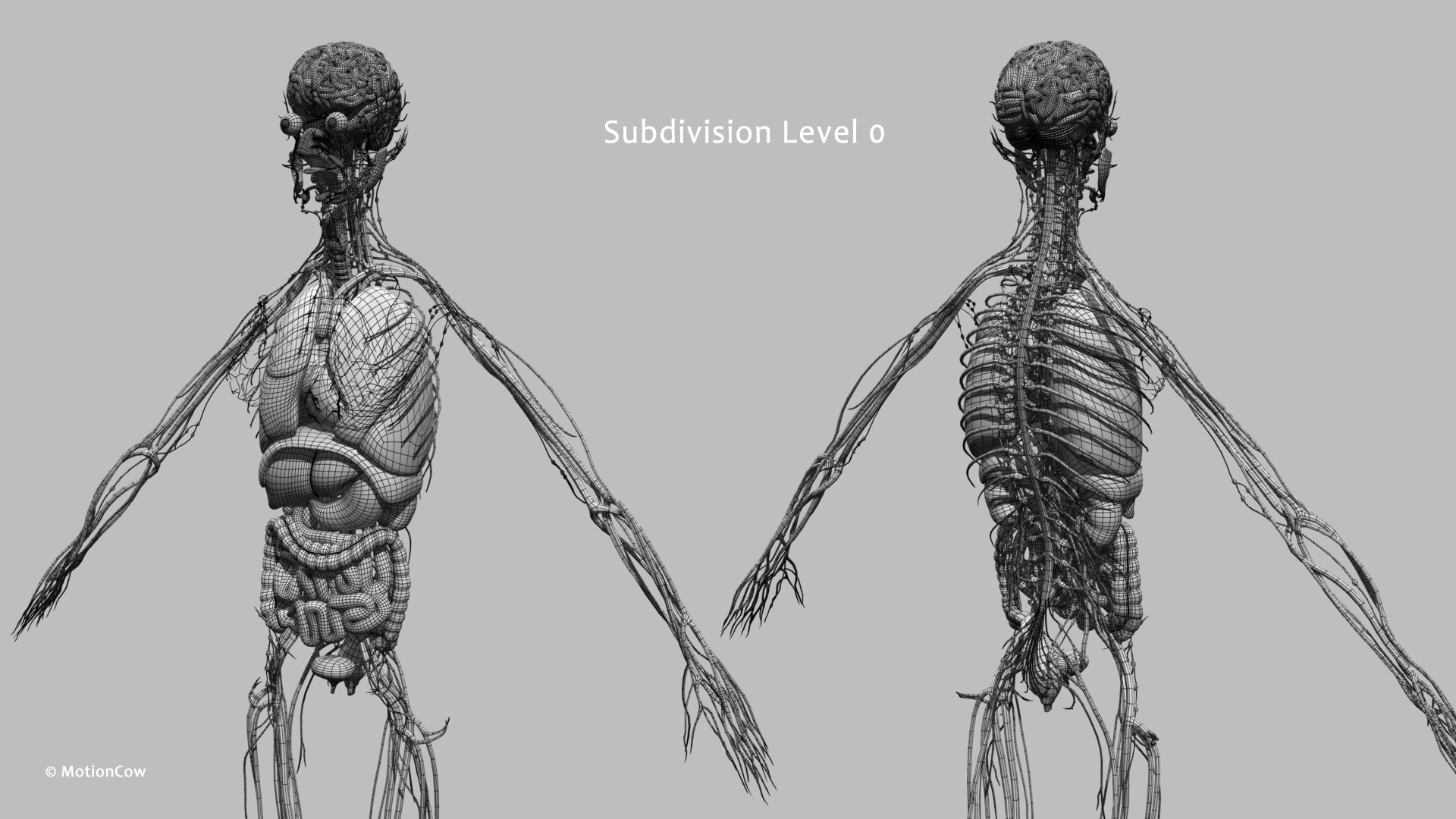 Ultimate Female Anatomy PRO 3D model https://p.turbosquid.com/ts-thumb/pd/PQtSWi/UY/female_anatomy_w5/jpg/1666791954/1920x1080/fit_q87/0e90c323d30476f7d815f1bb01ff8bfbf93356b1/female_anatomy_w5.jpg