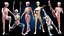 Ultimate Female Anatomy PRO - Advanced Rig w Animation
