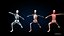 Ultimate Female Anatomy PRO - Advanced Rig w Animation