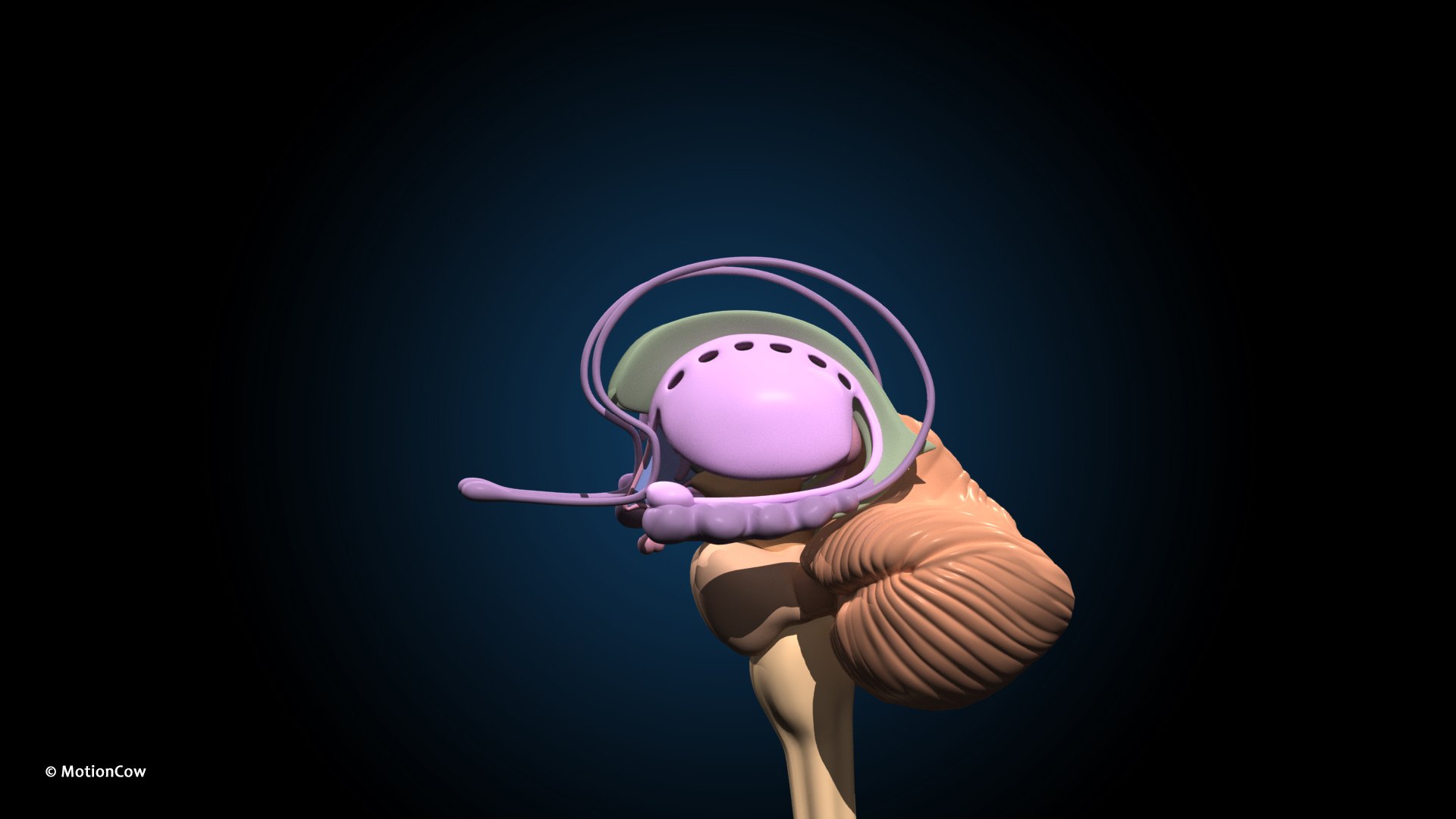 Ultimate Female Anatomy PRO 3D model https://p.turbosquid.com/ts-thumb/pd/PQtSWi/YK/female_anatomy_j9/jpg/1666791948/1920x1080/fit_q87/abbed42c1267c10cc69a62cec5812ffc0d575ba2/female_anatomy_j9.jpg