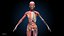 Ultimate Female Anatomy PRO - Advanced Rig w Animation