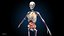 Ultimate Female Anatomy PRO - Advanced Rig w Animation