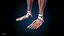 Ultimate Female Anatomy PRO - Advanced Rig w Animation