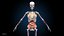 Ultimate Female Anatomy PRO - Advanced Rig w Animation