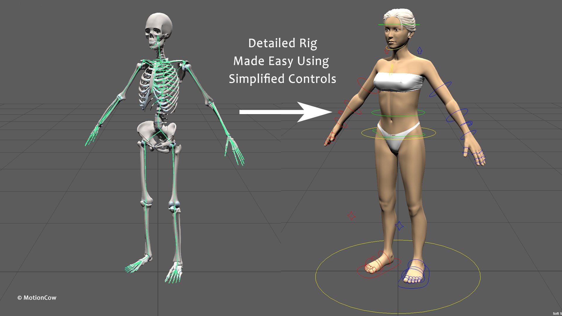 Ultimate Female Anatomy PRO 3D model https://p.turbosquid.com/ts-thumb/pd/PQtSWi/lM/female_anatomy_r1/jpg/1666791952/1920x1080/fit_q87/19b63beb33eb06059747871f7ddaf9fcac147b53/female_anatomy_r1.jpg