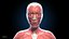Ultimate Female Anatomy PRO - Advanced Rig w Animation
