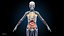Ultimate Female Anatomy PRO - Advanced Rig w Animation