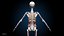 Ultimate Female Anatomy PRO - Advanced Rig w Animation