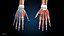Ultimate Female Anatomy PRO - Advanced Rig w Animation
