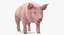 Grande collection d'animaux de la ferme 4